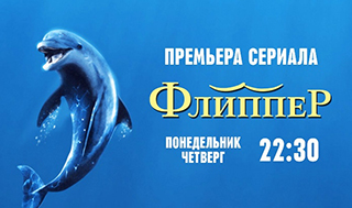 Компания «РОКСИ» приглашает следить за приключениями «Флиппера»